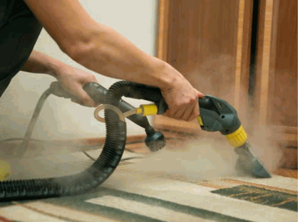 How To Steam Clean Carpets