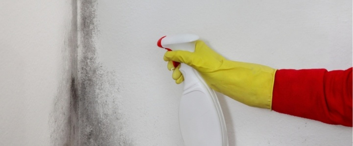Mould prevention tips