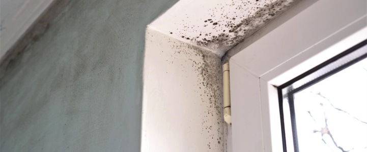Why is removing mould so important