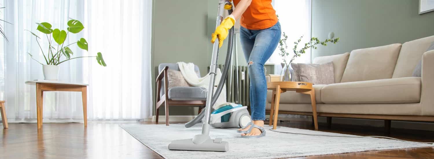 House Cleaning Newcastle upon Tyne Domestic Cleaning Services