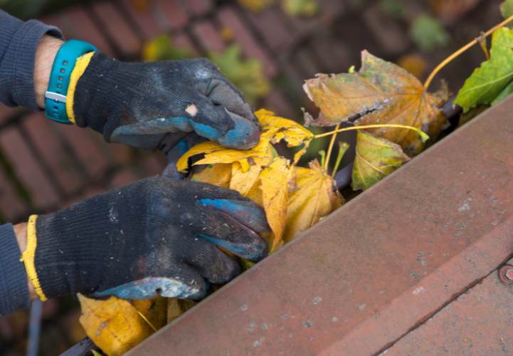 Get a Free Quote Today