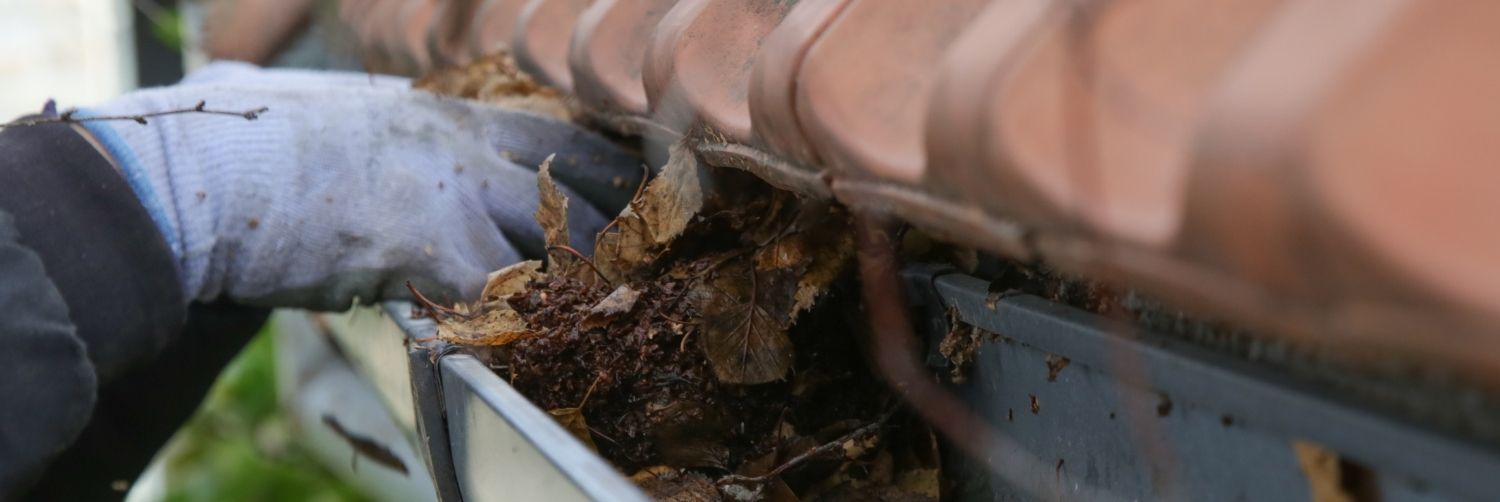 Gutter Cleaning Services