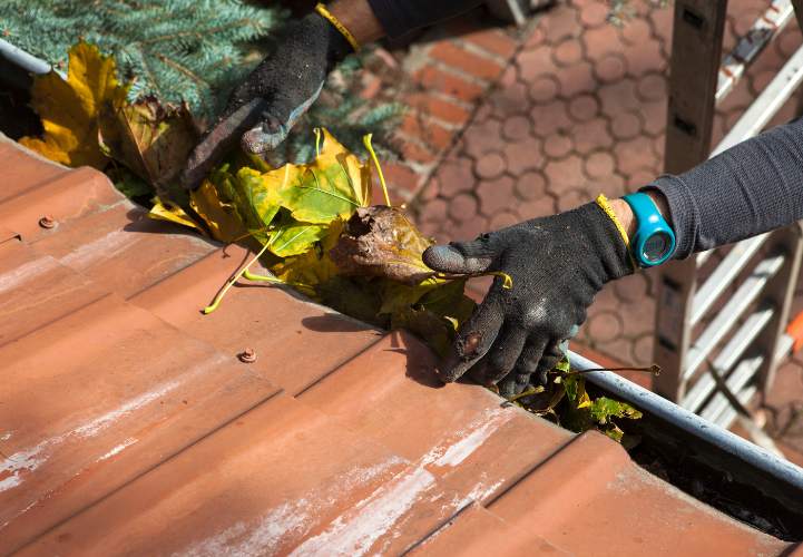 Professional Roof Cleaning Services