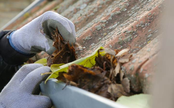 Residential Gutter Cleaning and Commercial Gutter Cleaning Services