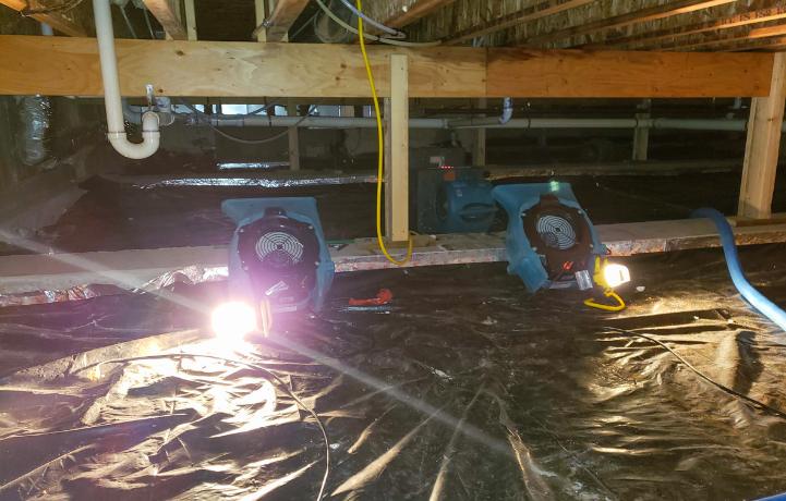 The Cost of Delaying Restoration