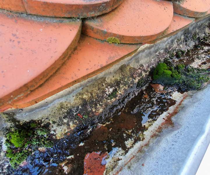The Dangers of Clogged Gutters and Blockages